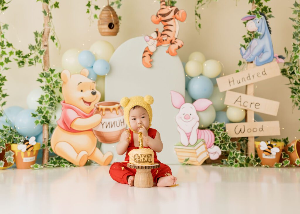 winnie-the-pooh-first-birthday-photography-winnipeg