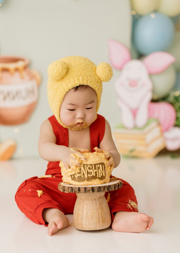 winnie-the-pooh-first-birthday-photographer-winnipeg
