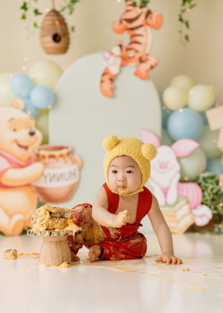 winnie-the-pooh-cake-smash-photography-winnipeg